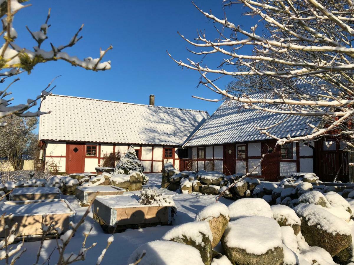 Kattalaengan Villa Brösarp Exterior foto